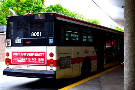 TTC Orion OG 8081. 71 idle at Runnymede station. photo