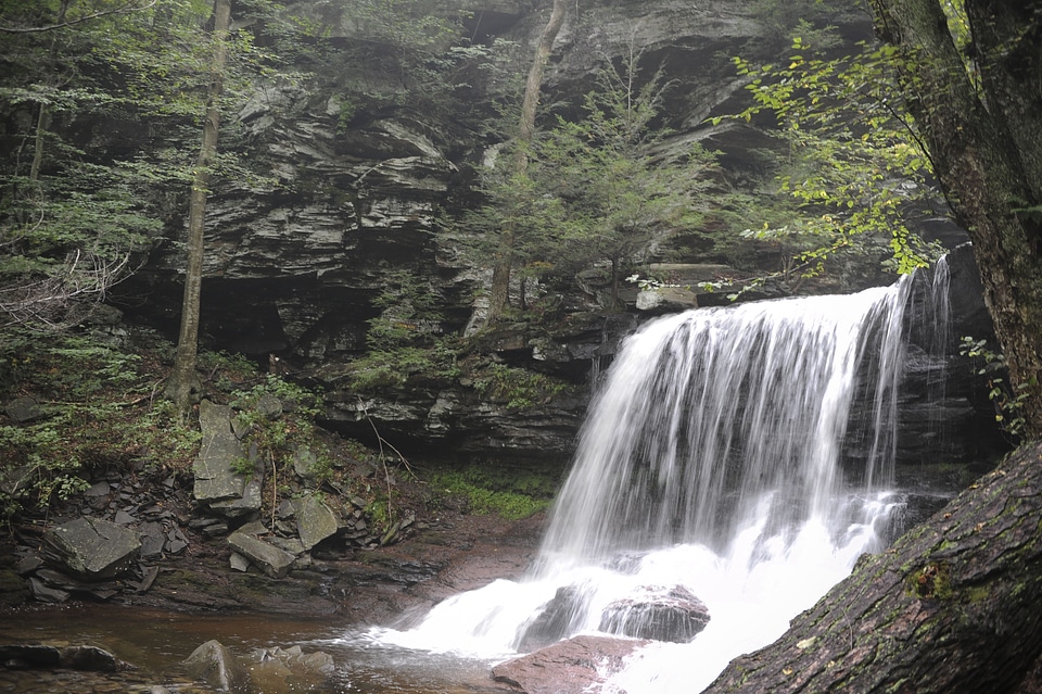 Ricketts Glen State Park