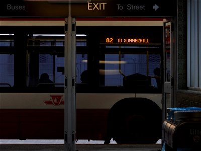 82 bus at Rosedale.