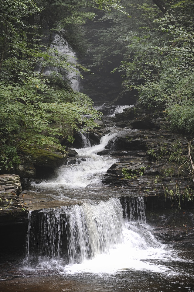 Ricketts Glen State Park