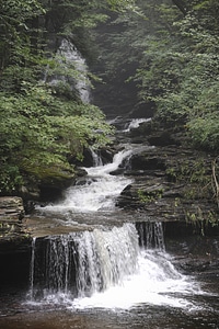 Ricketts Glen State Park