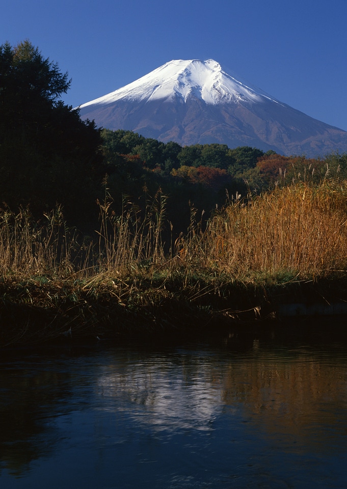 Mt Fuji view from the lake
