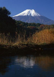 Mt Fuji view from the lake