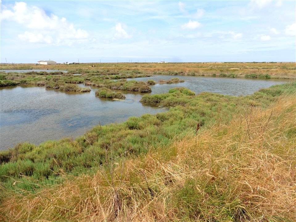 Littoral charentais, Oléron, Moëze