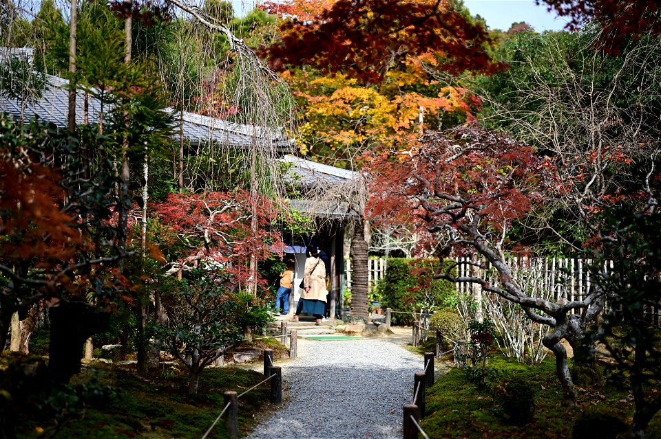 京都龍安寺/Kyoto Ryoanji