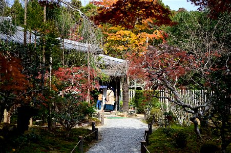京都龍安寺/Kyoto Ryoanji