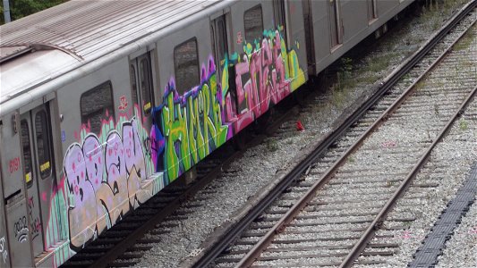 Line 4 TR with Graffiti at Davisville Yard. photo