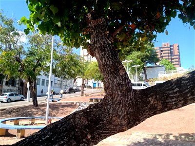 Maceió, Brazil