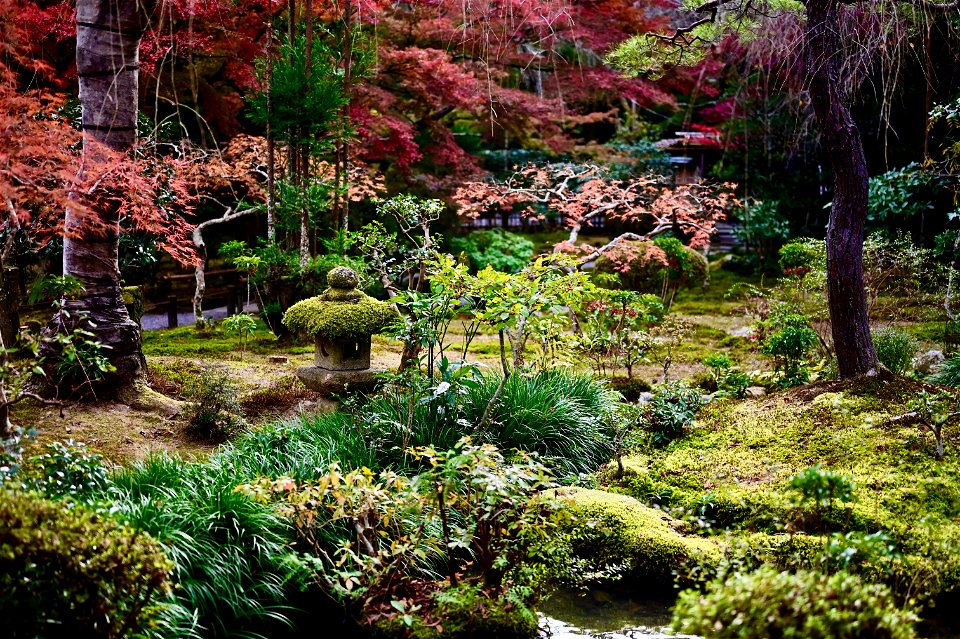 京都龍安寺/Kyoto Ryoanji