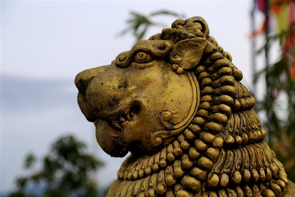 Nelligala temple photo