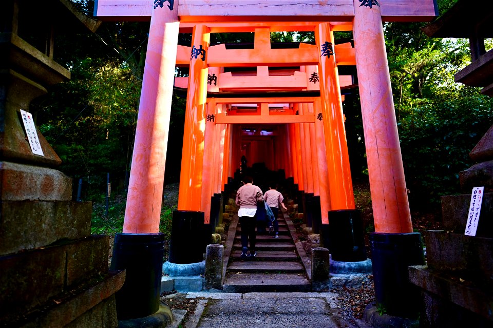 伏見稲荷/Fushimi Inari Shrine