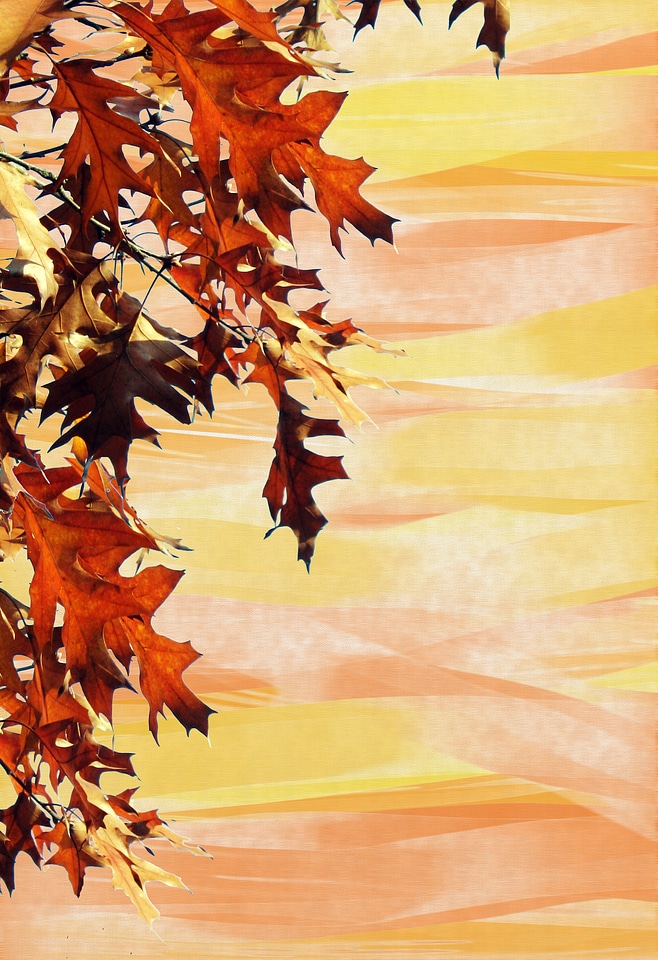 Emerge stationery oak leaves