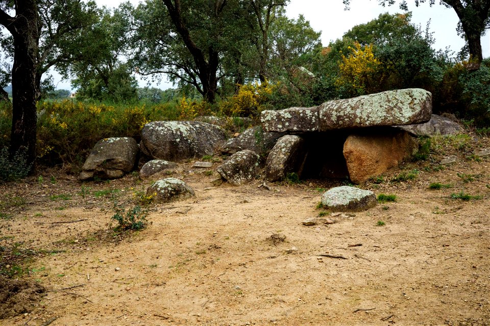 07-03-2021 Excursió per l' Albera