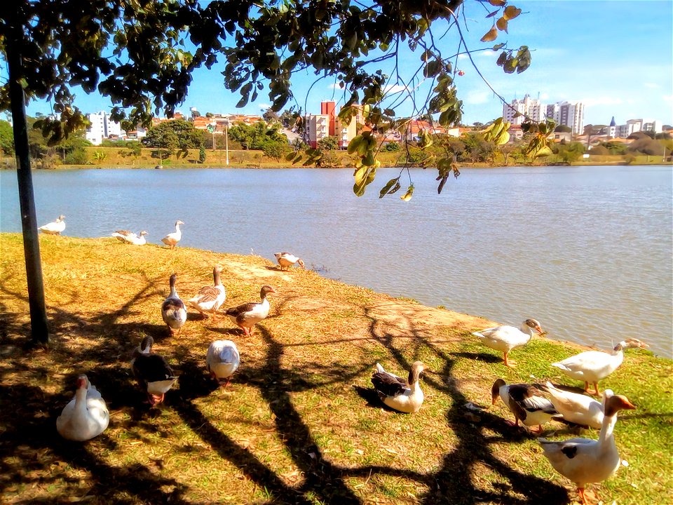 Represa, Vinhedo, São Paulo