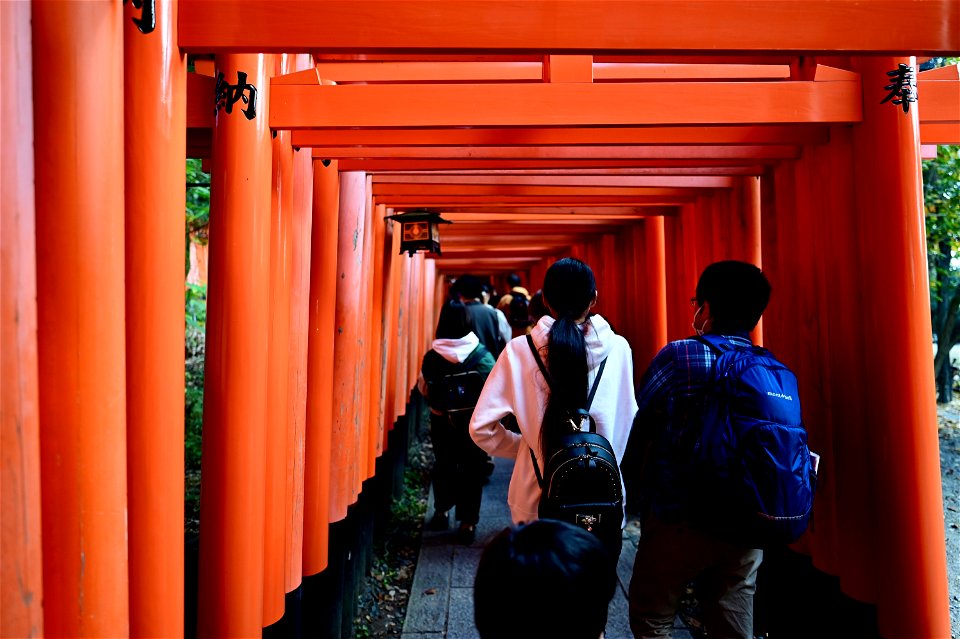 伏見稲荷/Fushimi Inari Shrine