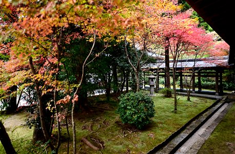 京都龍安寺/Kyoto Ryoanji