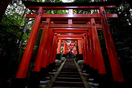 伏見稲荷/Fushimi Inari Shrine