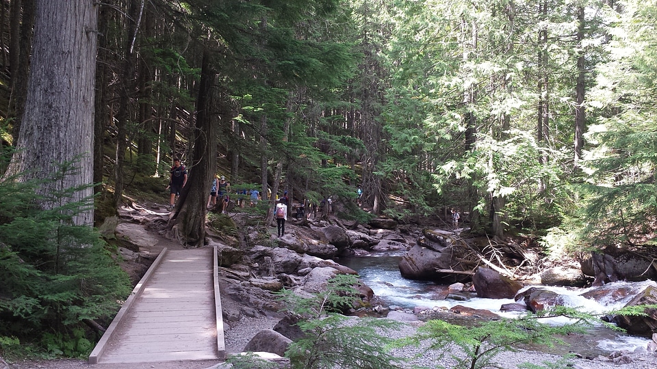 Beautiful turquoise blue water flowing in Glacier National Park photo