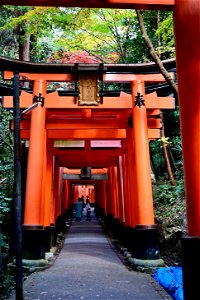 伏見稲荷/Fushimi Inari Shrine