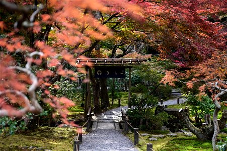 京都龍安寺/Kyoto Ryoanji