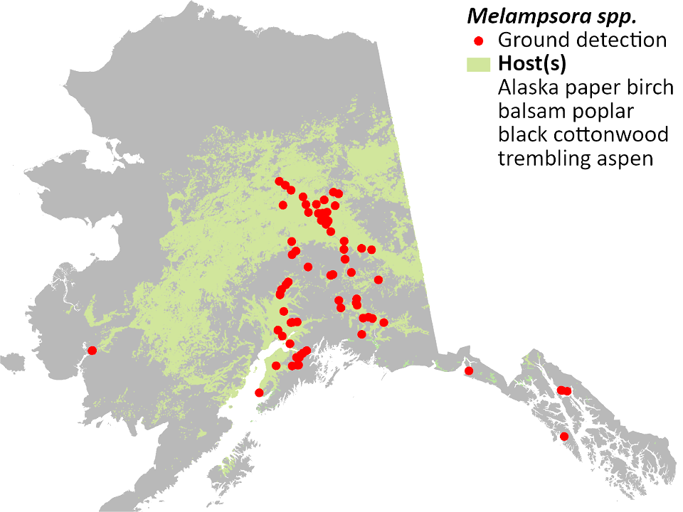 Hardwood-leaf-rust-detection-map-2022-Alaska