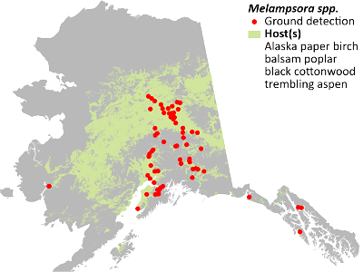 Hardwood-leaf-rust-detection-map-2022-Alaska