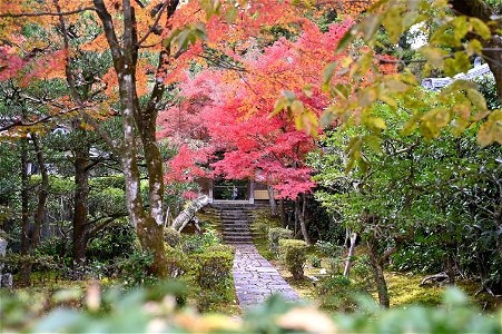 京都龍安寺/Kyoto Ryoanji