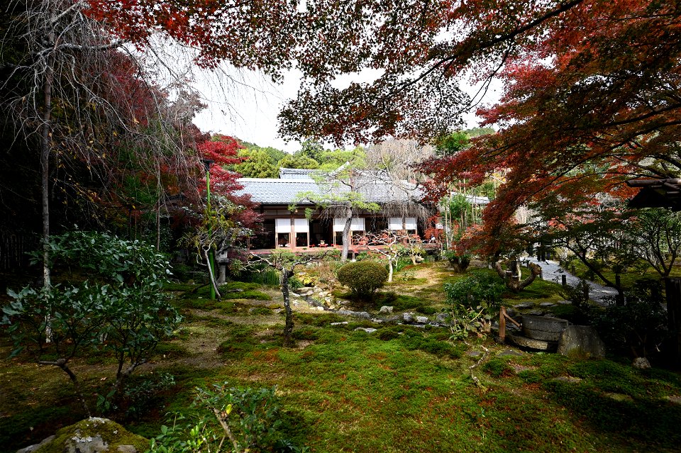 京都龍安寺/Kyoto Ryoanji
