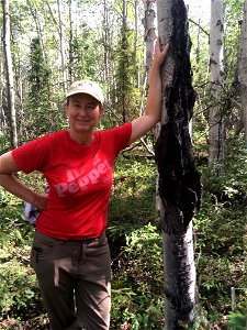 Lori-Winton-target-canker-Gerstle-River-Alaska