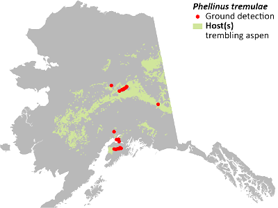 Phellinus-tremulae-detection-map-2022-Alaska