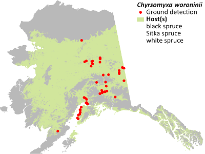 Chrysomyxa-woroninii-detection-map-2022-Alaska