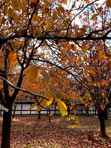 IMG_3673
