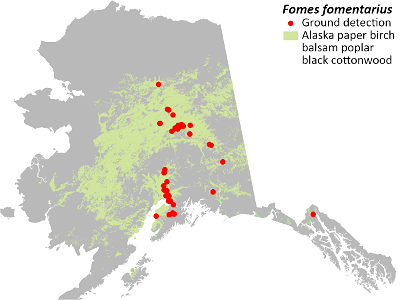 Fomes-fomentarius-detection-locations-2020-Alaska photo