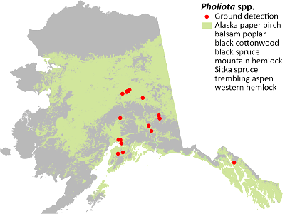 Pholiota-detection-map-2020-Alaska