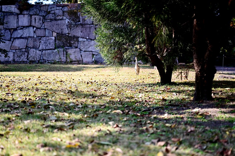 DSC_1264
