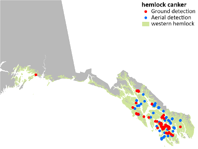 Hemlock-cumulative-detections-map-2020-Alaska photo