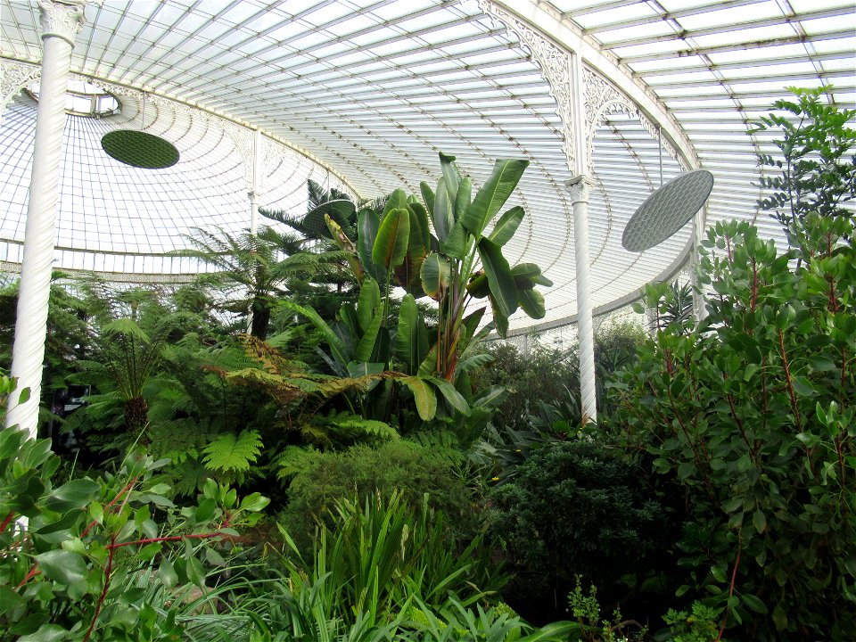 Glasgow Botanic Gardens