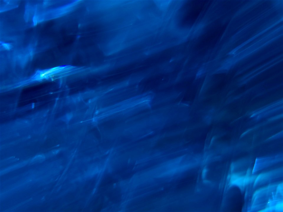 Aquatic Reflections