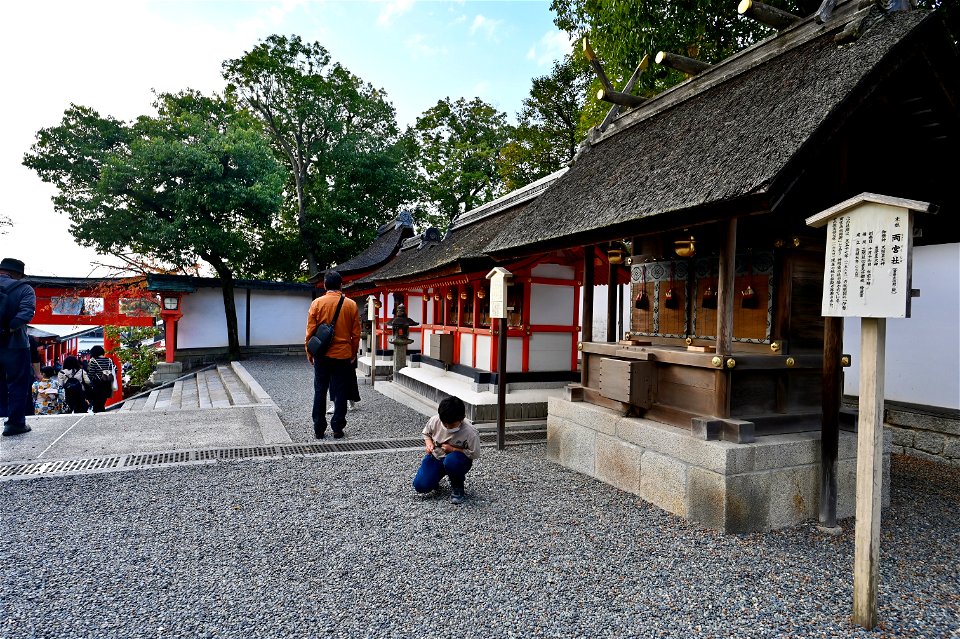 伏見稲荷/Fushimi Inari Shrine