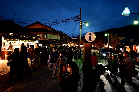 嵐山と竹林の小径 / Kyoto Arashiyama and Bamboo forest path photo