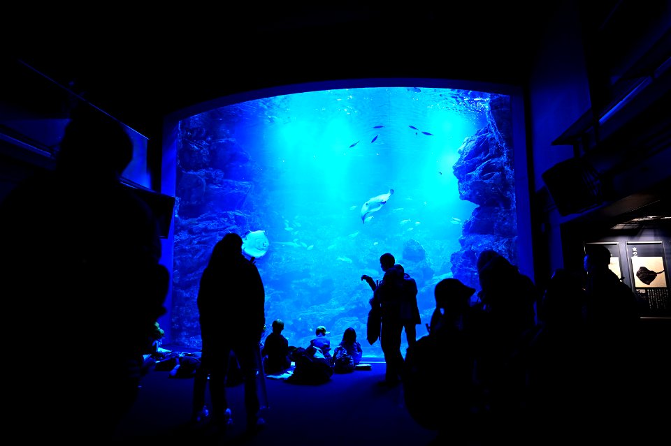 京都水族館 / Kyoto Aquarium
