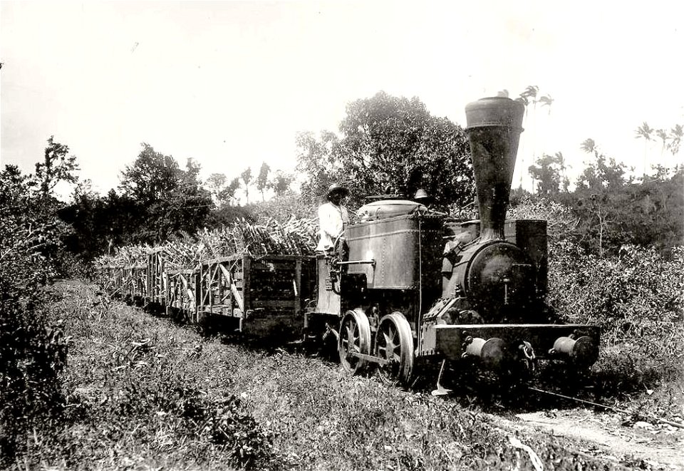 Pointe-à-Pitre.Train de canne à sucre vers 1900