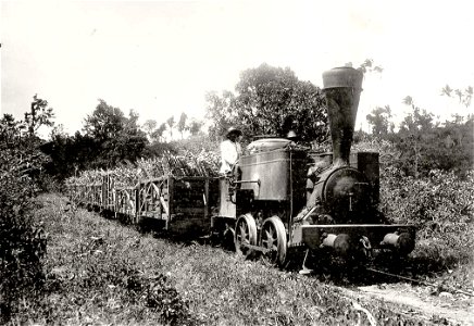 Pointe-à-Pitre.Train de canne à sucre vers 1900