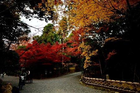 京都龍安寺/Kyoto Ryoanji