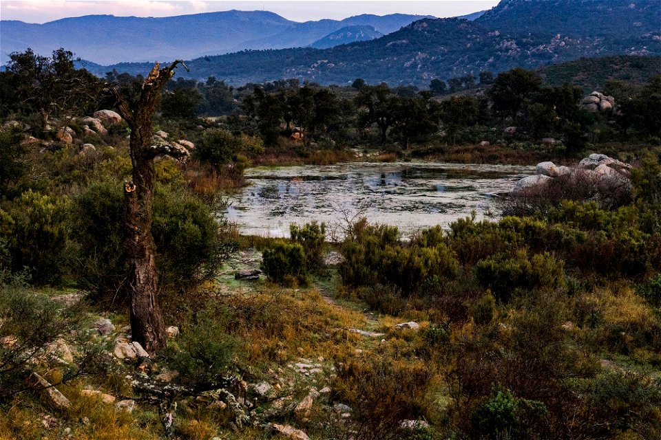 09-02-2019 Alba des de La Gutina