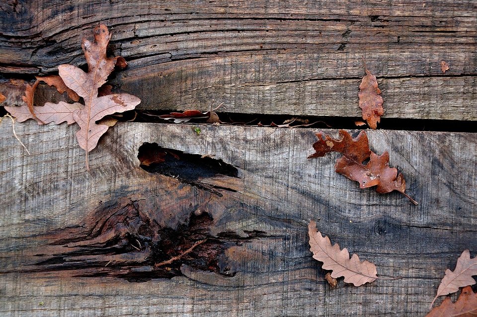 Wood floor leaves flooring