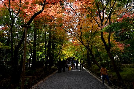 京都龍安寺/Kyoto Ryoanji