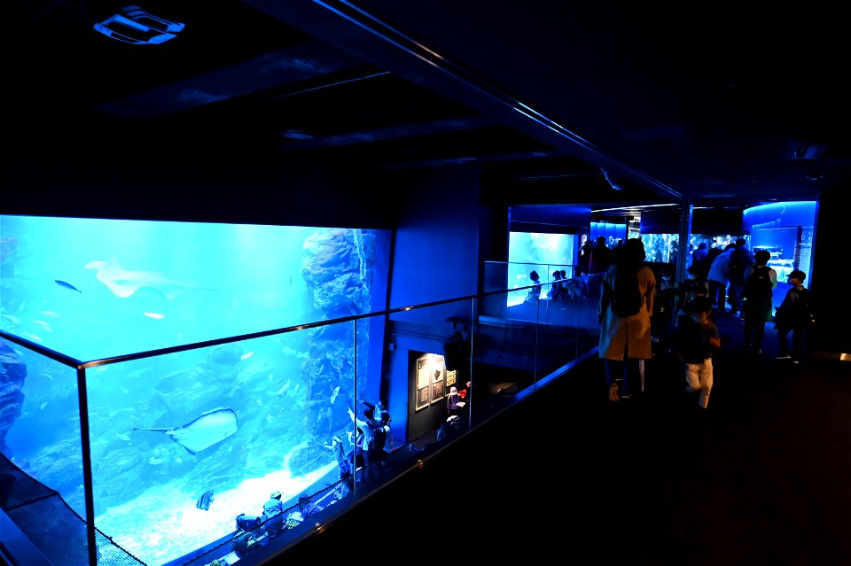 京都水族館 / Kyoto Aquarium