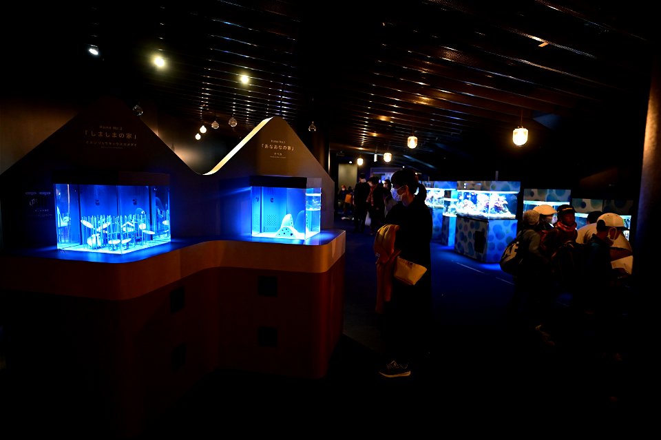 京都水族館 / Kyoto Aquarium
