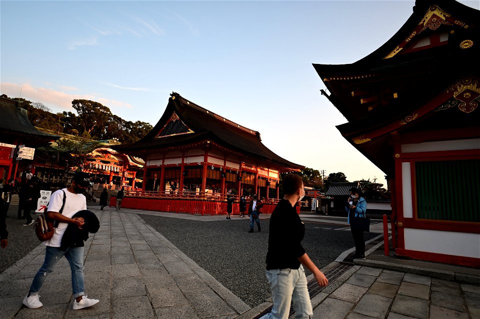 伏見稲荷/Fushimi Inari Shrine